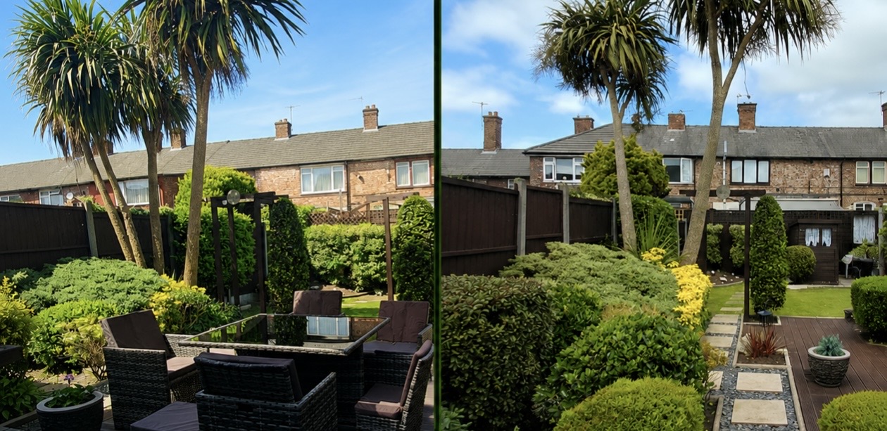 Before and after of overgrown palms cleaned up to open the garden