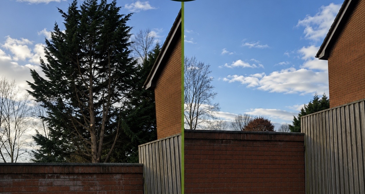 Before and after of a large conifer removed from a residential garden