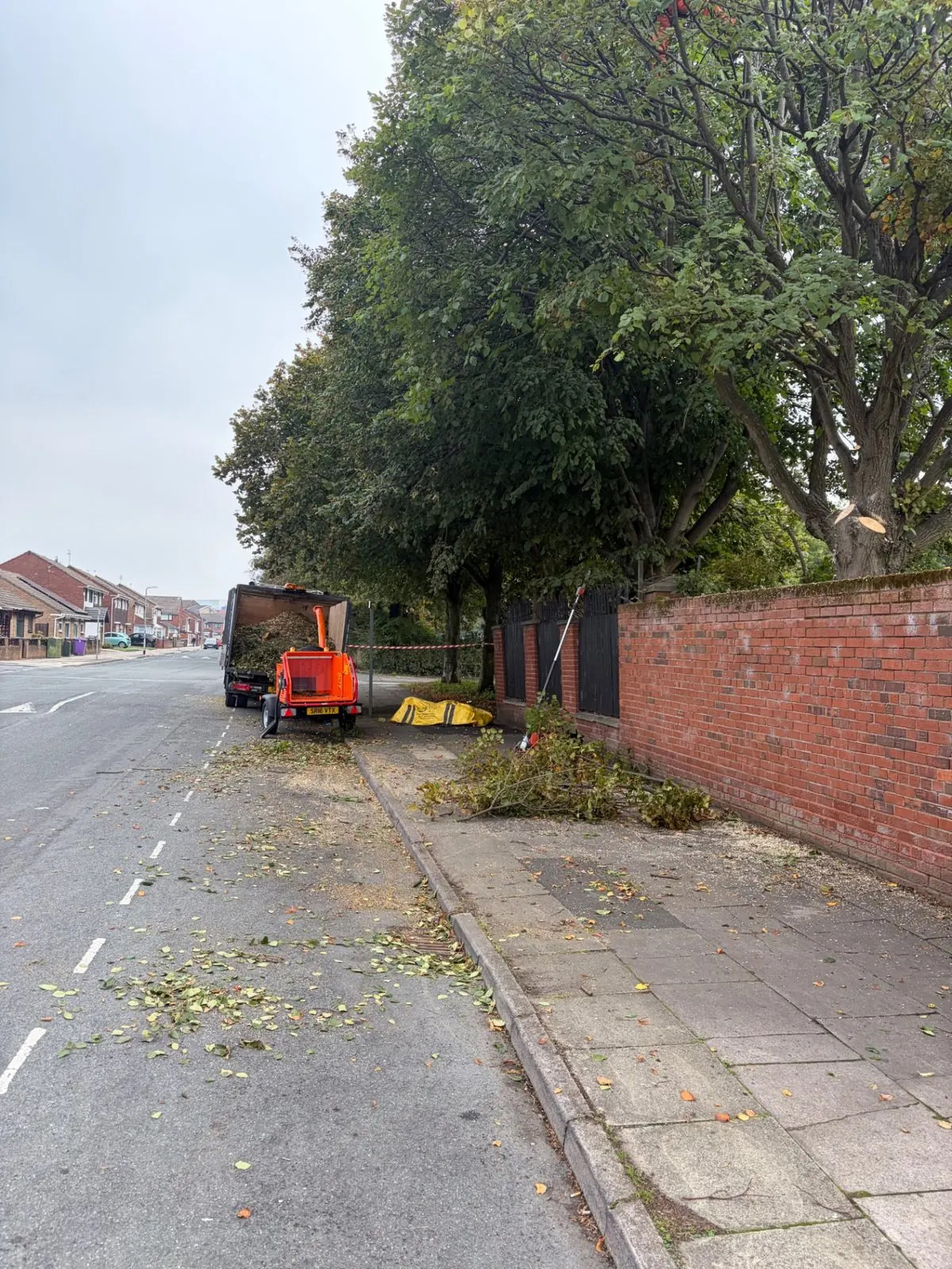 Large street tree reduced and site cleared by James David Forestry Ltd — after