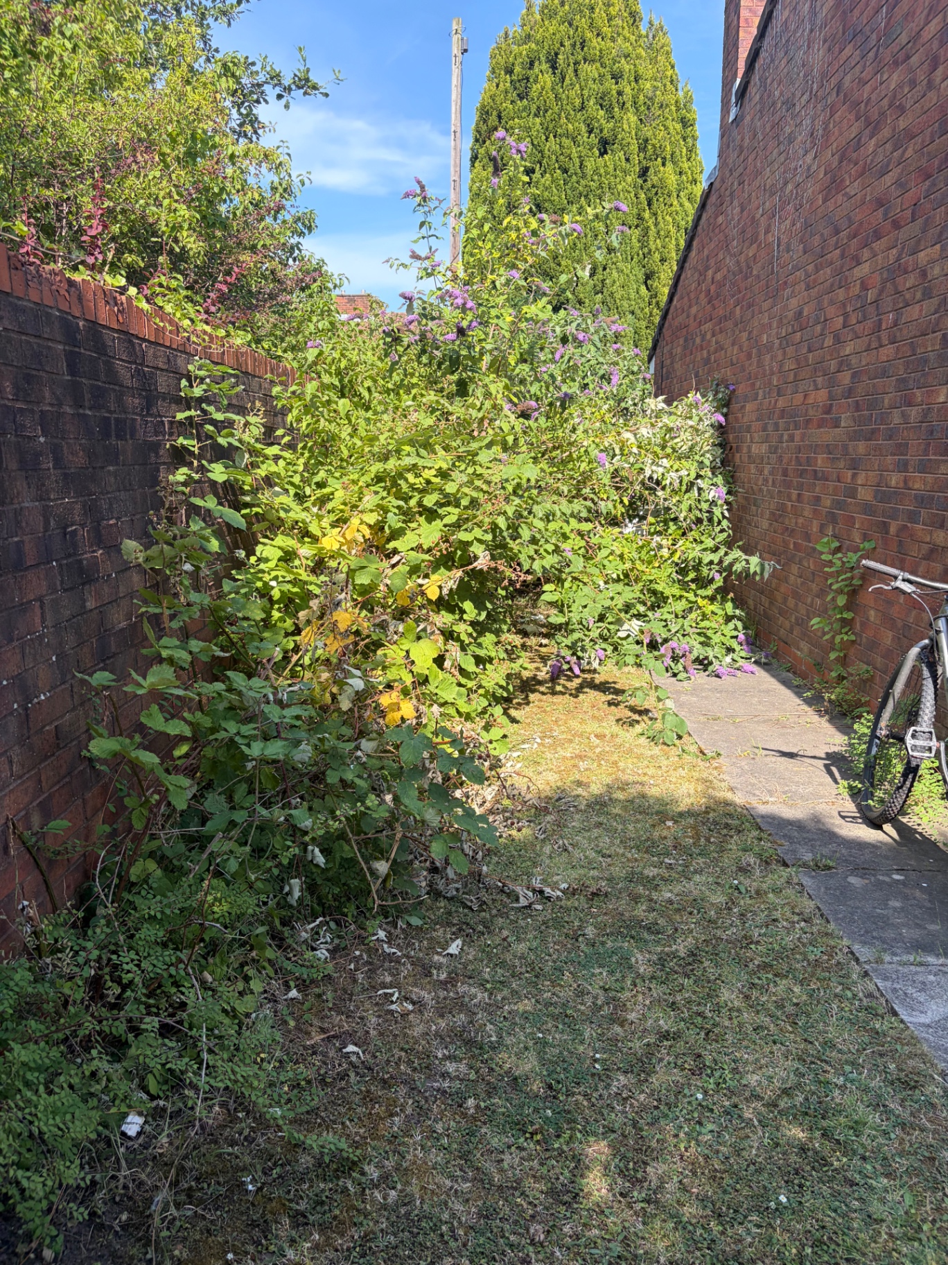 Overgrown Merseyside garden cleared by J&D Forestry — before