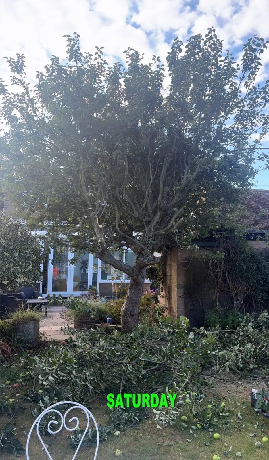 Apple tree removed and garden cleared in Ince Blundell by James David Forestry Ltd — before