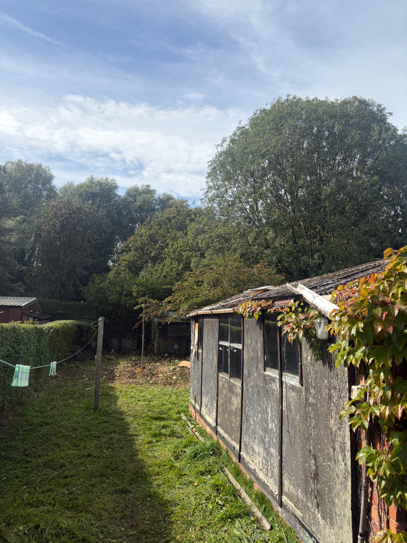 Overgrown leylandii removed and garden cleared by James David Forestry Ltd — after