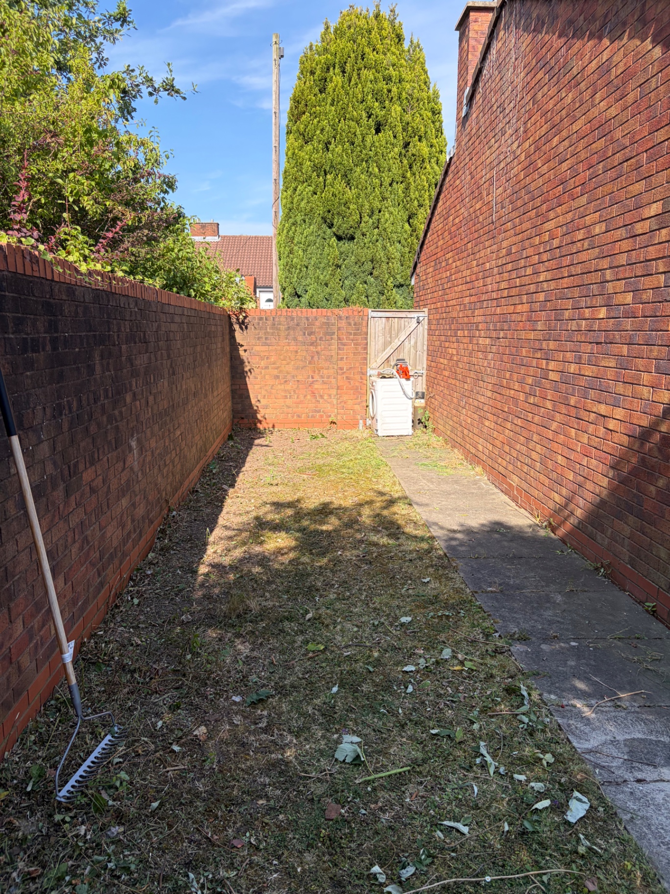 Overgrown Merseyside garden cleared by J&D Forestry — after