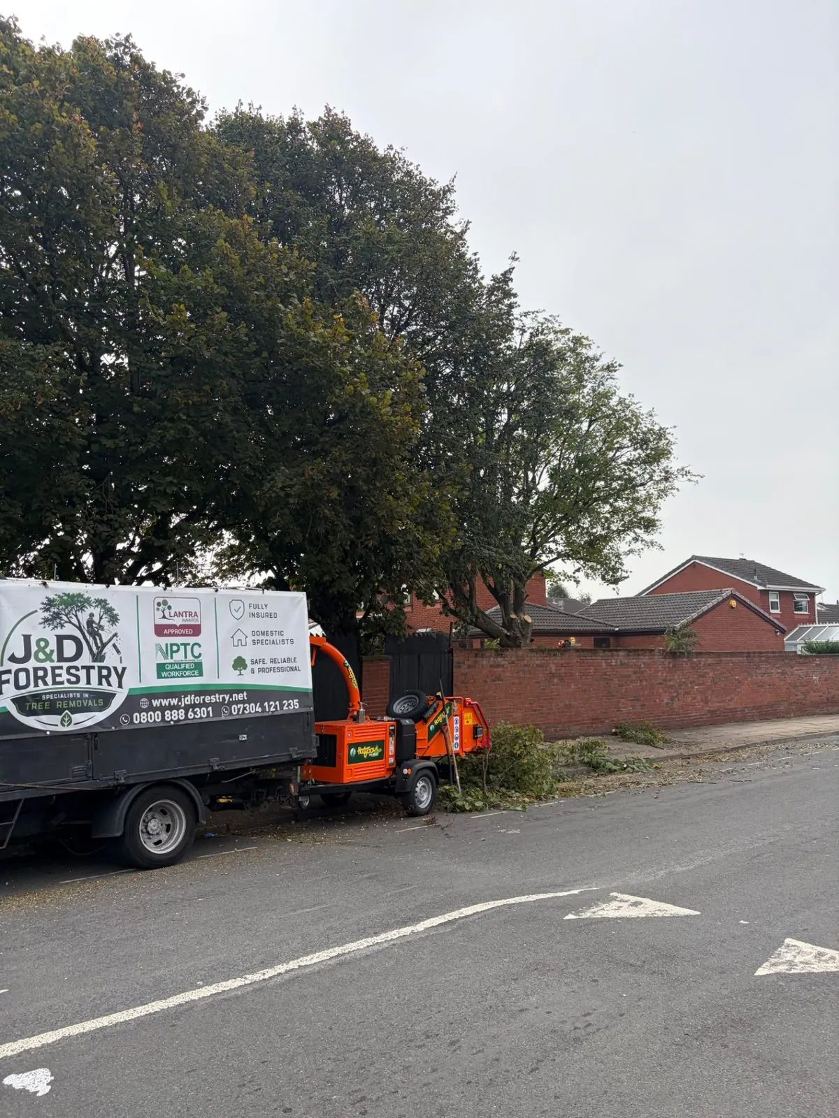 Large street tree reduced and site cleared by James David Forestry Ltd — before