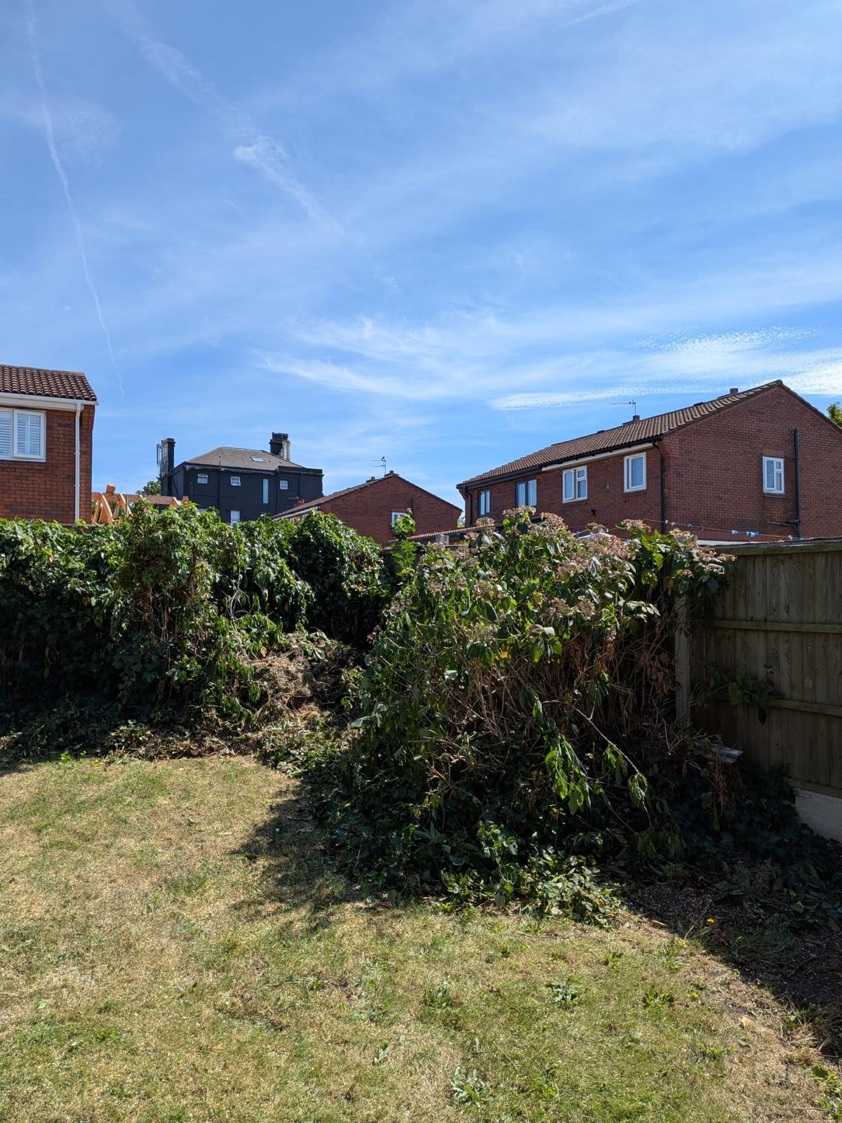 Large cherry tree removed and garden opened up by J&D Forestry — after