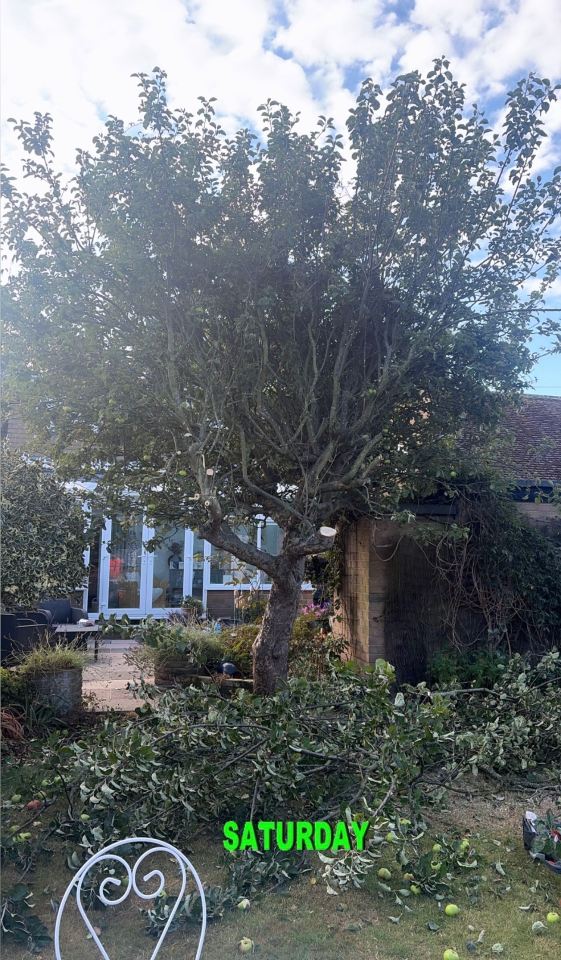 Apple tree removed and garden cleared in Ince Blundell by J&D Forestry — before
