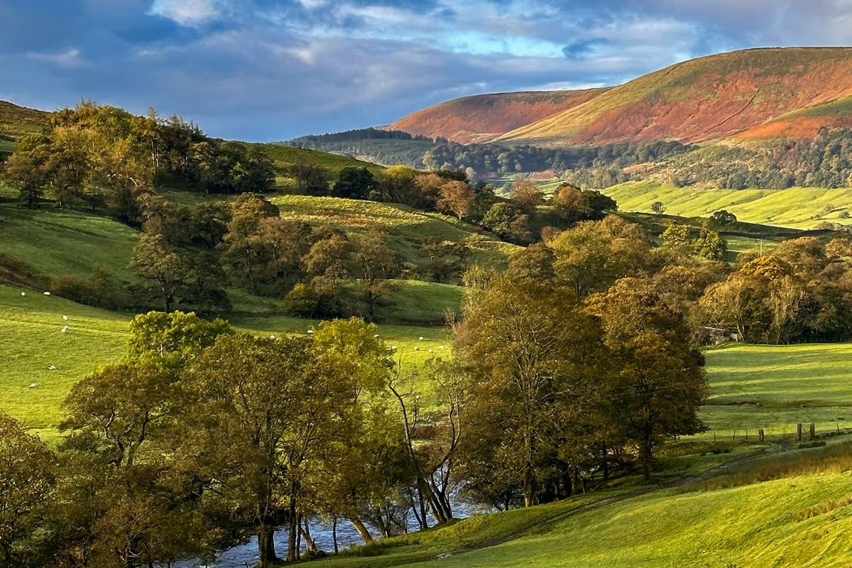Lancashire countryside with woodland and rolling fells