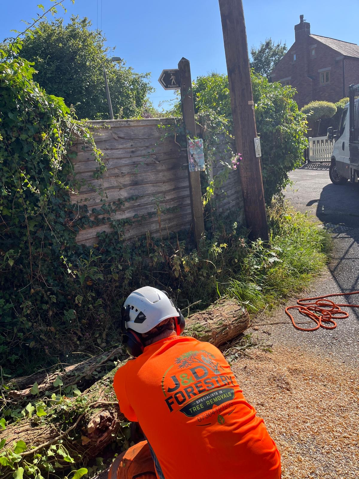 J&D Forestry arborist sectioning a felled roadside tree